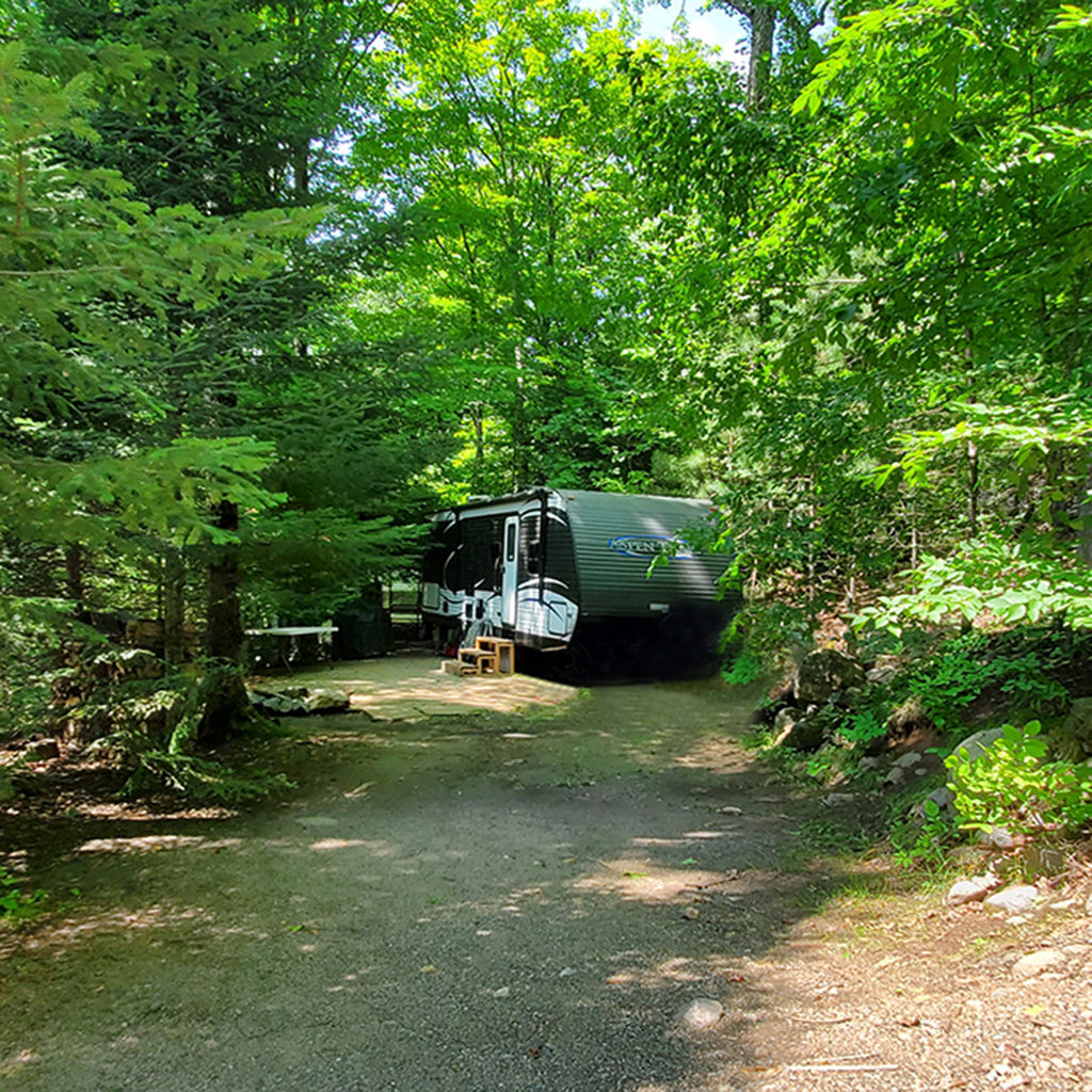 A seasonal campsite, with a trailer surrounded by Forest.